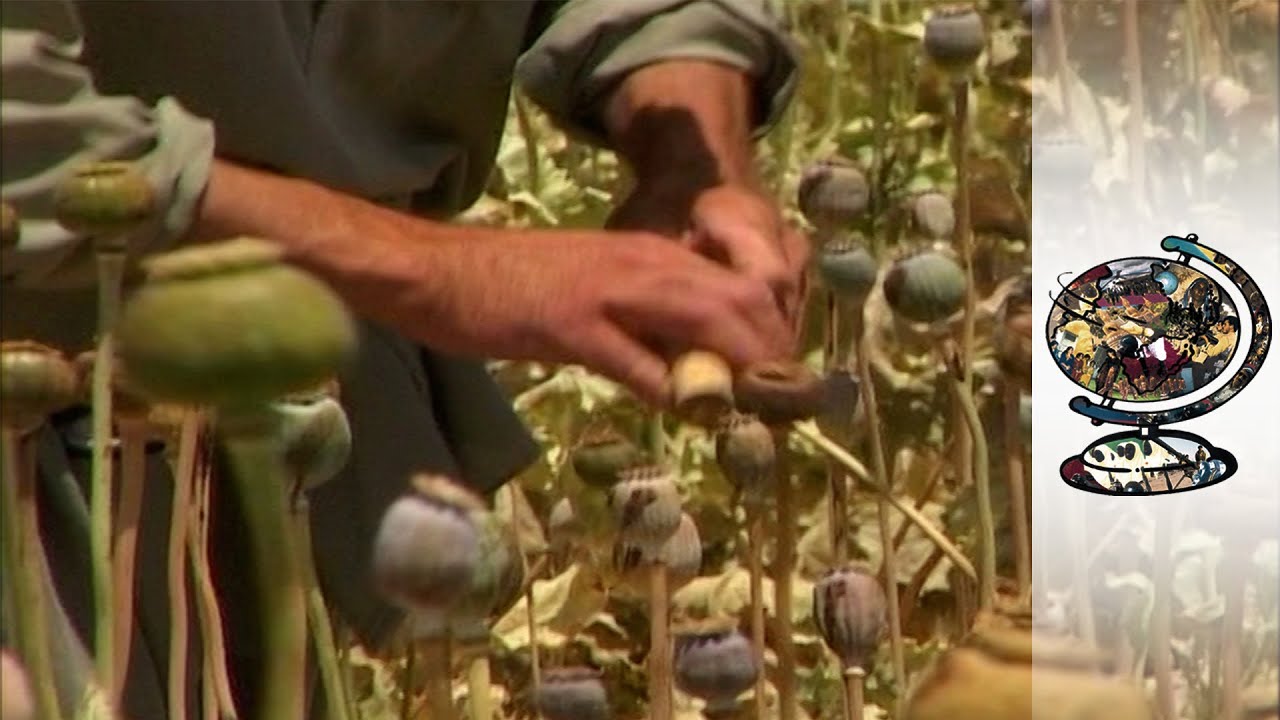 Film backdrop image for On the road with Afghanistan's top drugs kingpin (2022)