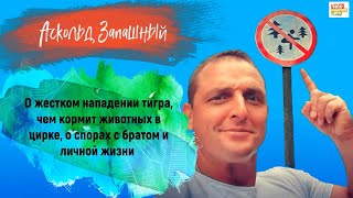 АСКОЛЬД ЗАПАШНЫЙ: о жестоком нападении тигра, чем кормит хищников, о спорах с братом и личной жизни