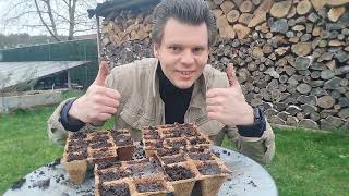 How To Grow Tobacco Part 1: Planting The Seeds