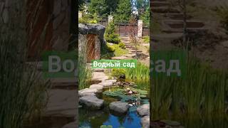 красивый сад с водоемами #ландшафтныйдизайн #водоемы #дизайнсада