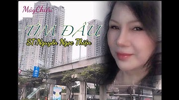 TÌM ĐÂU , ST : Nguyễn Ngọc Thiện , Cover : Mây Chiều