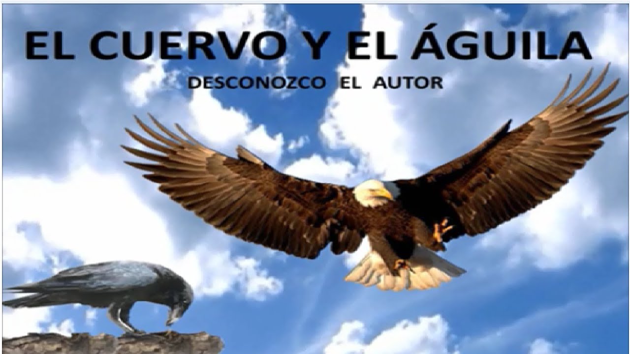 El Cuervo Y El Aguila Analisis Youtube