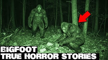 3 Hours of Truly Scary Bigfoot Encounters | BIGFOOT Documentary 2025 | Vol. 448 | #bigfoot 2025