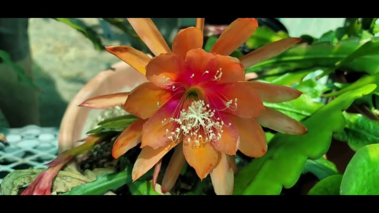 I'm so excited to open this box// Thanks Mng Ellen from San Diego CA