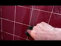 Moldy Shower Ha Ha; Jump Landlord Jump