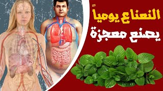 لن تتوقف عن شرب النعناع بعد اليوم / فوائد و أضرار النعناع