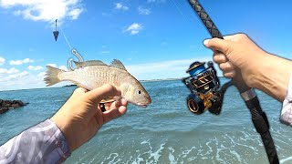 Fishing the Beach with LIVE BAIT for Anything That Bites!