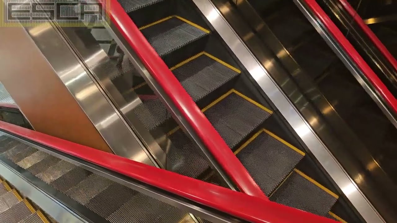 【３基】APPLIESE (アプリーズ) エスカレーター 4F-1F 弘前駅 駅ビル