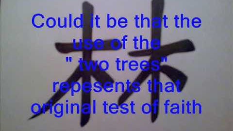 Genesis hidden in the Chinese language? Part 3