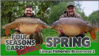 CARP FISHING: FOUR SEASONS CARPING.... SPRING.... LINEAR FISHERIES BRASENOSE 2