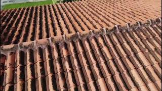 Maria Scheer 1965 W 64th St, Hialeah, FL 33012 Drone video
