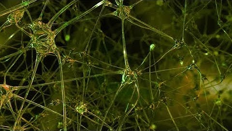 Artificial Intelligence | Motion Graphics - Videohive template