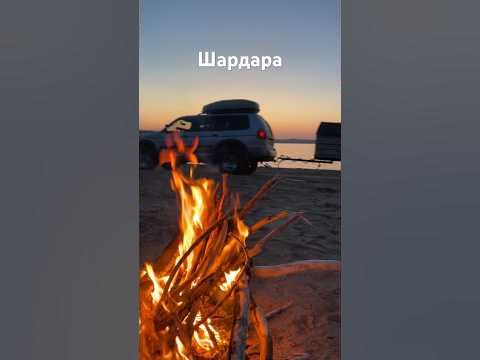 Шардара рыбалка - YouTube