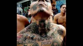 Inframen Cuba y los panchos lokos.