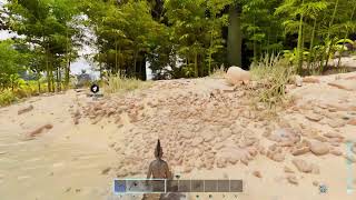 ARK ASCENDED EXTINCTION OFFICIAL CONSOLE SMALL TRIBES PVP SOLO RAID