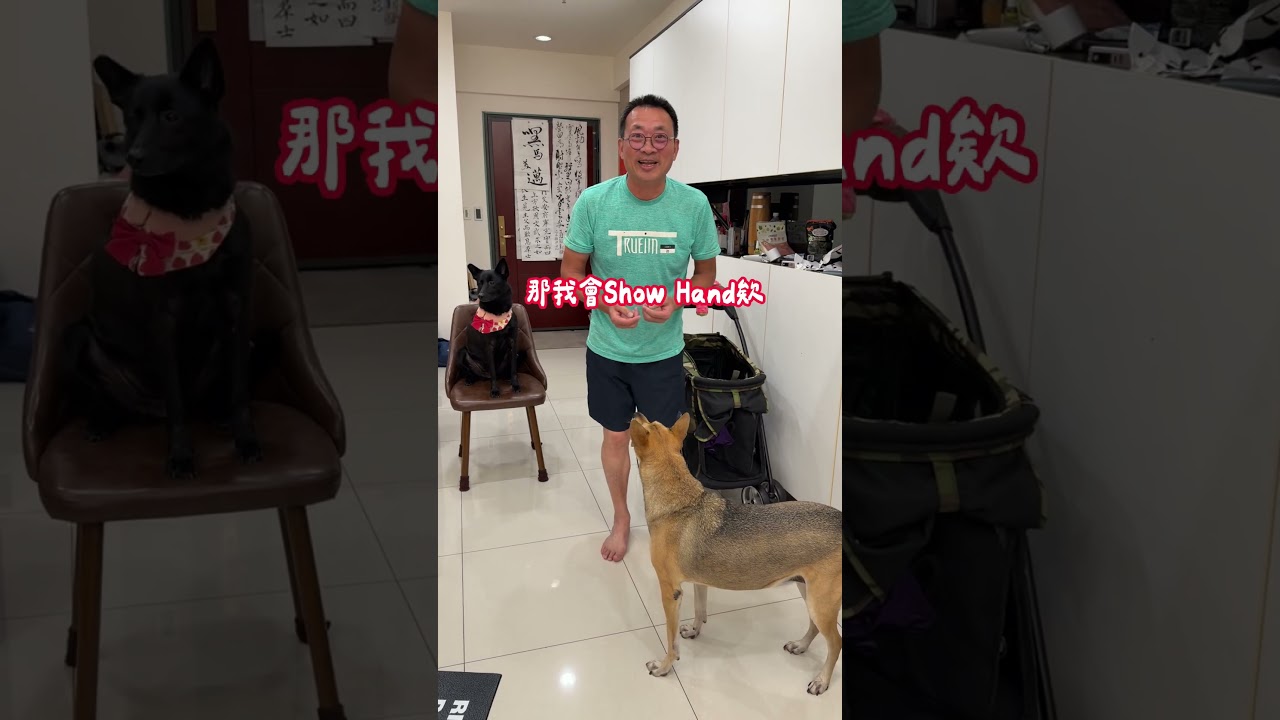 要因為邁嘿的一句話壓身家了 #MLB 縮圖