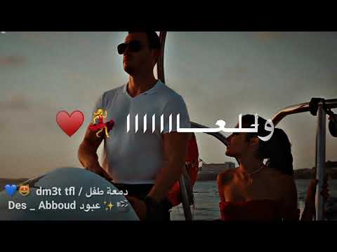 قلبي ما بيحضر اخبار سارة الزكريا جديد حالات واتس اب للعشاق اجمل اغاني حب وغرام