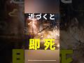 【近づいたら即死】 #shorts #雑学 #チェルノブイリ #原発事故 #ゾウの足 #chernobyl #elephantfoot