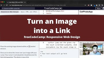 Turn an Image into a Link (Basic HTML and HTML5) freeCodeCamp Tutorial