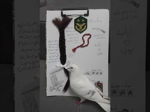 اوين ون الحبايب اكسبلور جوريا لايك جوارب تصميم فيديوهات ايقنت تصميمي شعر متابعه ترند