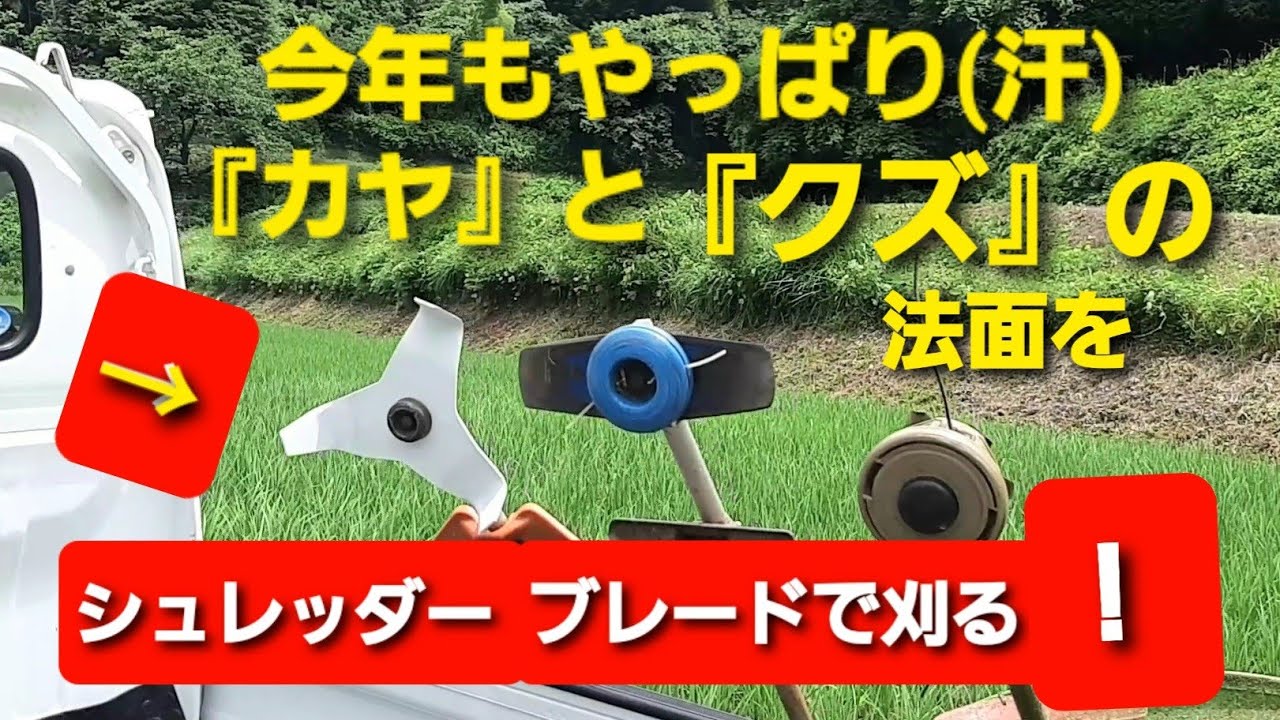 今年もやっぱりカヤとクズの法面！シュレッダーブレードで刈る！