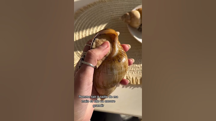 Mes animaux de compagnie : les escargots géants 🐌