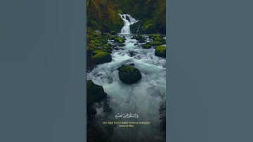 اجمل تلاوات القران الكريم .🥲🔥 #اكسبلور #المصحف #لايك  #الرحمن #راحة_نفسية #القزابري