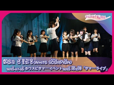 [4K] WHITE SCORPION、「非常手段」&「I do love you!」&「心が目を閉じる」の ステージを披露するメンバーたち
