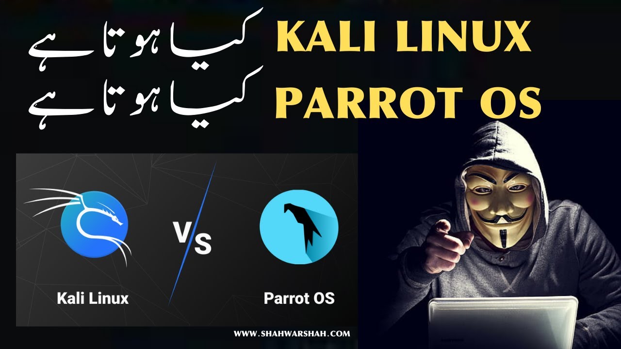 Which is best Kali Linux or Parrot OS | Kali Linux vs Parrot OS ...