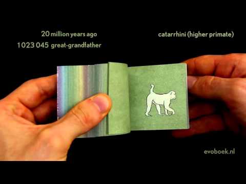 550 million years
