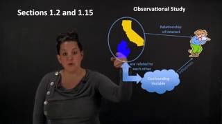 Observational Studies and Confounding Variables Profile