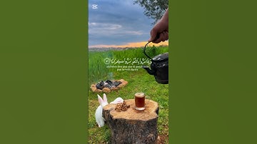 اللهم اجعل القرآن الكريم ربيع قلبى وذهاب همى وحزنى