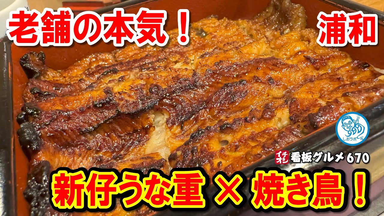 【究極の柔らかさ】浦和の老舗「鰻むさし乃」で味わう新仔うな重と絶品焼き鳥の贅沢体験！ イチオシ看板グルメ670 