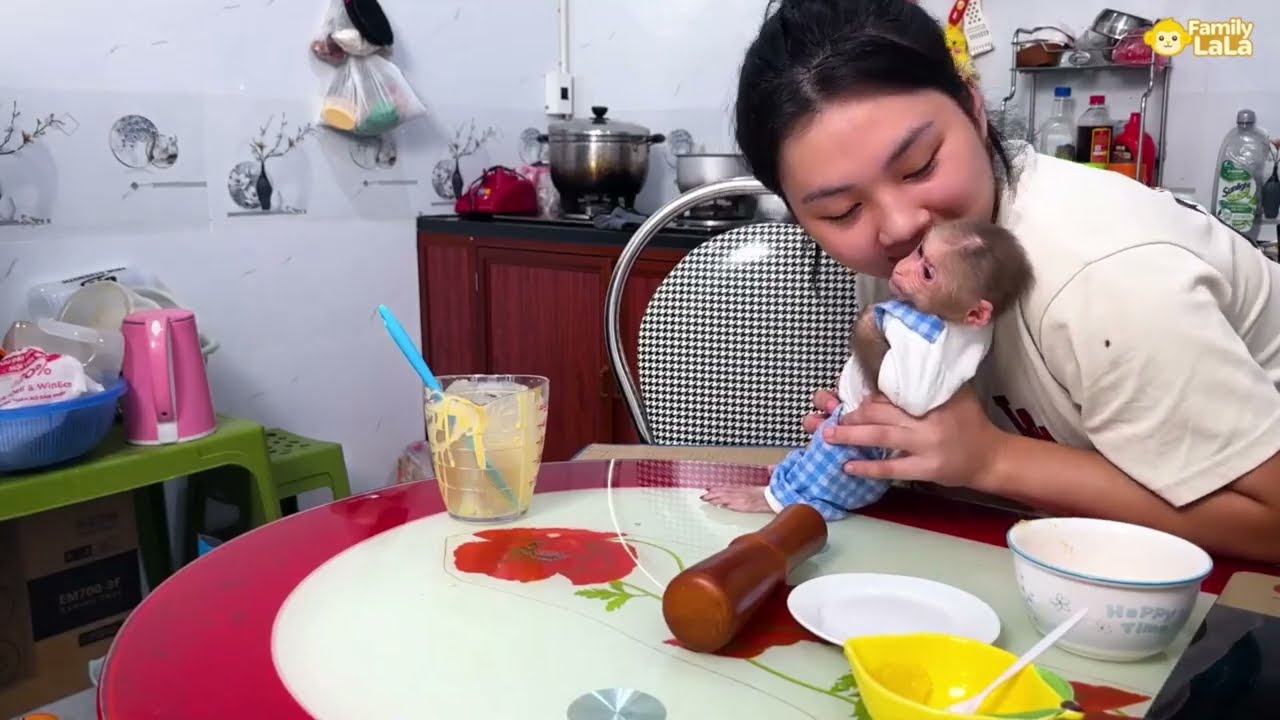 🐵 Little Monkey Becomes MASTER CHEF Shocked Everyone by Making Cake All Alone 🎂 | Funny Monkey Video