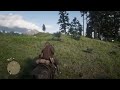 Red Dead Redemption 2 Wolf Flys