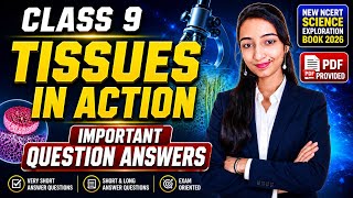 Class 9 Tissues in Action Important Questions Answers | New NCERT Exploration 2026