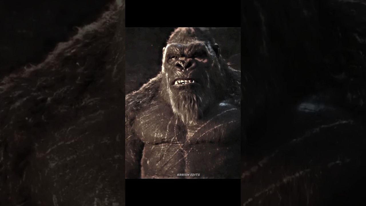 kong attitude status 🗿 