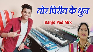 तोर पिरीत के धुन म || Tor Pirit Ke Dhun Ma || Banjo Pad Mix || Cg Piano || CG Banjo Cover Song