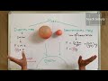 Hindi: INERTIAL & GRAVITATIONAL MASS PROBLEM