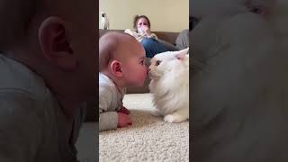 usa reels/usa short/usa funny video #usa #usashorts #usatoday #usafunnyvideos