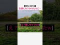 散歩に出た猫 友達になりかけたけど…