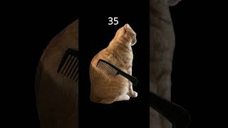 cat horror filter high score #viral #cat #gaming