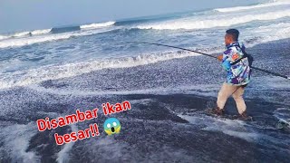 🔴PANIK..!! mancing dipinggir pantai strike ikan besar