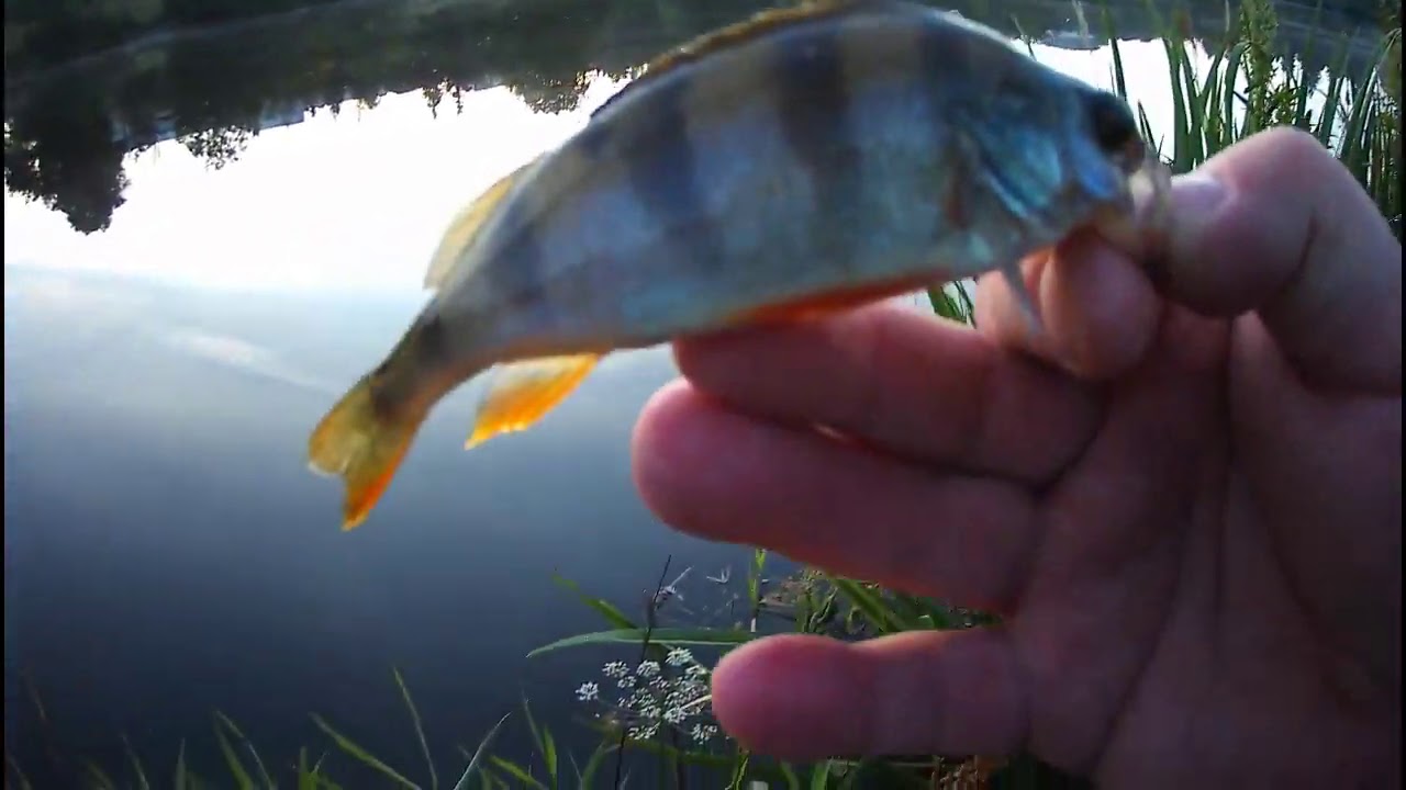 Апгрейд спиннинга PRIORITY NANO SPECIAL рост 1.85 тест 0.3-3 грамма.