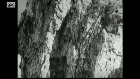 GBC Operation Felix [2008] Part 2 of 4