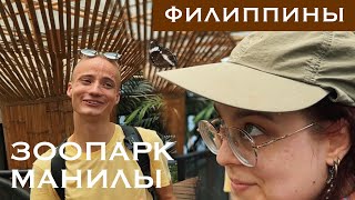 ТОП ЗООПАРКОВ МИРА. ФИЛИППИНЫ, МАНИЛА. Зоопарк в самом опасном городе мира. Почему такие цены?!