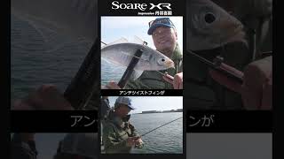 25ソアレXRリール　 丹羽喜嗣 　#アジング #ボートアジング
