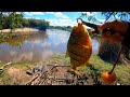 PESCA Y COCINA EN SOLITARIO, uso semillas de carnada, palometas y bagres, pesca de barrio