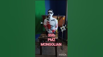 #combatarchery #shorts #zombie Trying out the new 3d target.