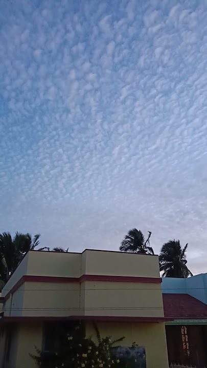 Inaiya vendum manadhu idhu Iraivan seidha mudivu Maatri kolla maalai vendumaa Kodi kodi...#shorts